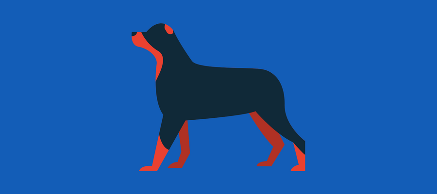 Black and red dog on a blue background