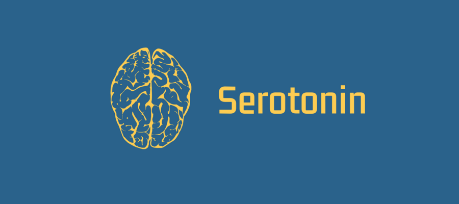 Serotonin blog header