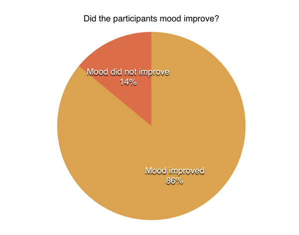 30-Day Challenge mood pie chart