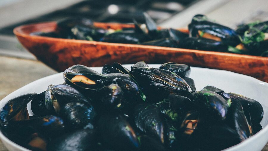 Bowl of mussels