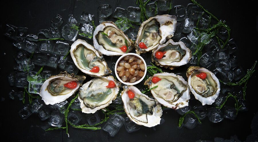 Oysters