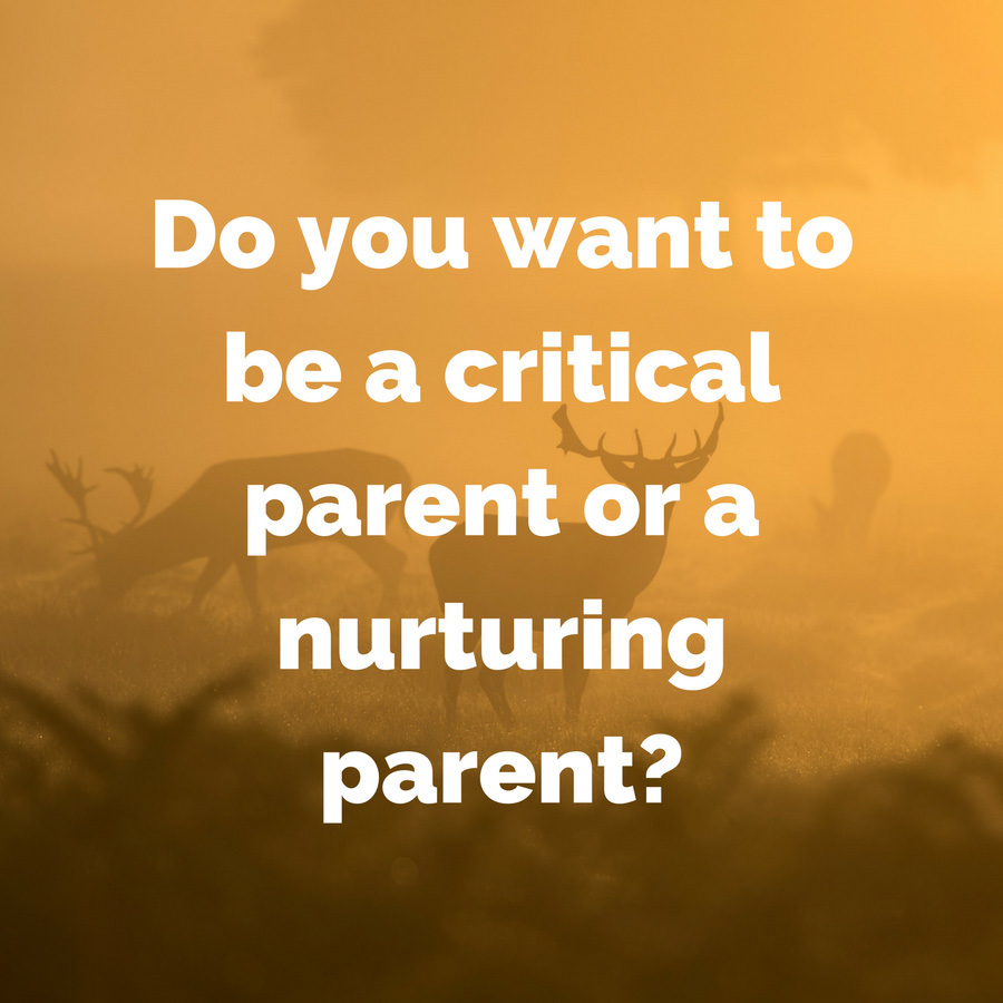 Do you want to be a critical parent or a nurturing parent?