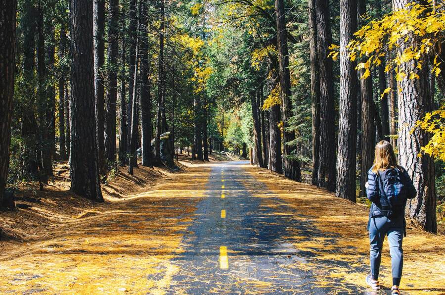 Woman walking down a forest road